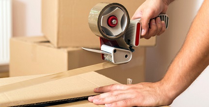 Hiring a Pet Mover vs Transporting Your Pets Yourself