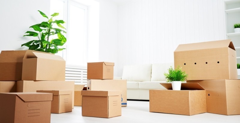 The Different Supplies You Need to Move Your Pets Safely