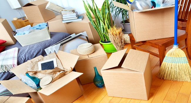 Cheap Movers In Magnolia