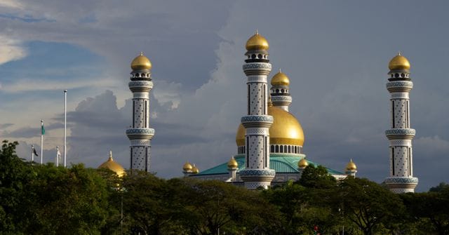Get Started With the Shipping Process to Deliver a Car to Brunei