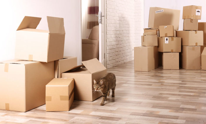 Transport Companies and Household Moves