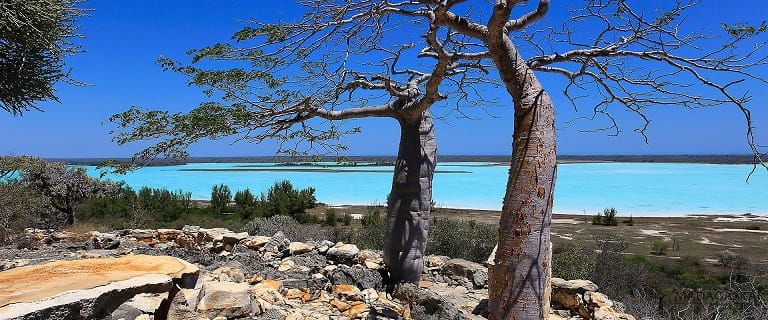 What You Must Do before Shipping Your Car to Madagascar