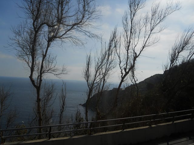 Ship Car To Tetouan