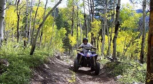 What Options Do I Have If I’m Shipping My ATV through a Transport Company?