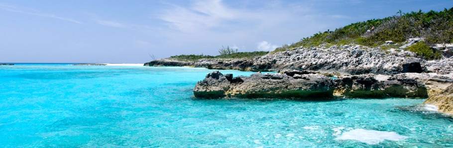 What are My Options If I Professionally Transport My Car to the Bahamas?