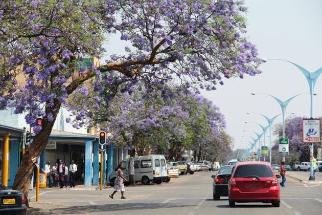 Ship Car To Bulawayo