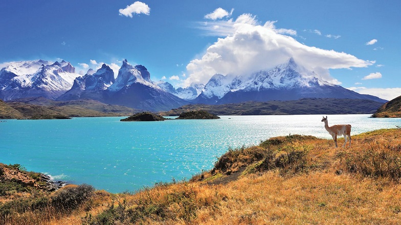 Chile Vehicle Registration Process