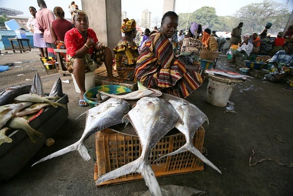 Ship Car To Conakry