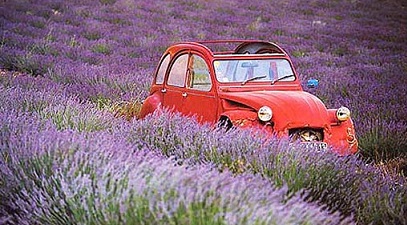 Importing a Car into Europe from the USA