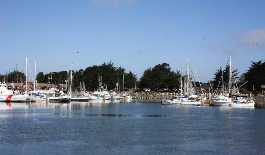 Port Of Eureka