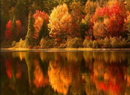 How To Successfully Move During The Fall Season