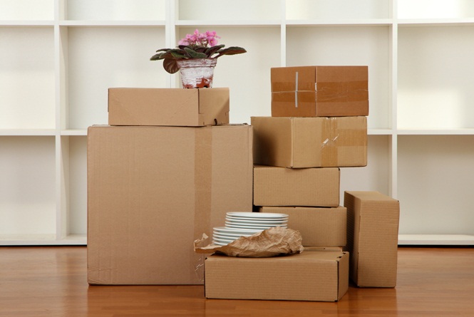 Cheap Movers In Bella Vista