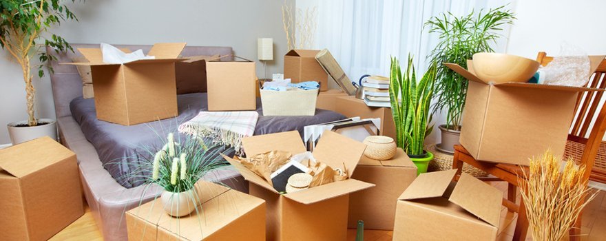 Cheap Movers In Prattville