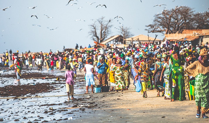 How Much Does It Cost to Ship a Car to Gambia through a Shipping Company?