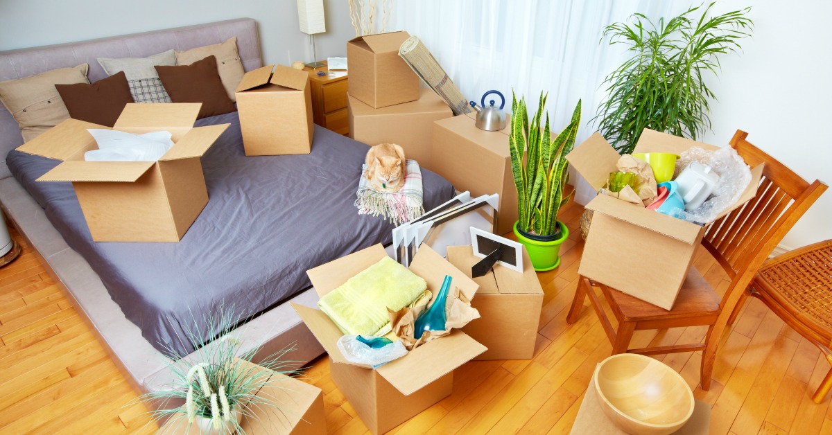 Cheap Movers In Queen Creek