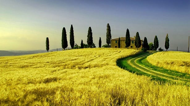 Why Should I Use Container Shipping Services to Get My Car to Italy?