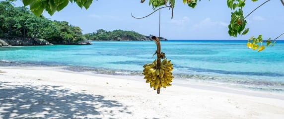 What Is Included In the Process of Shipping a Car to Jamaica from the US?