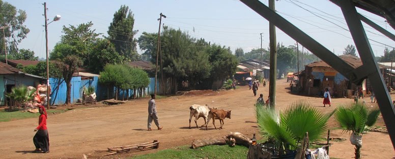 Ship Car To Jimma