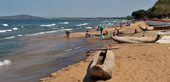 Prepare Your Car before It Ships from the US to Malawi