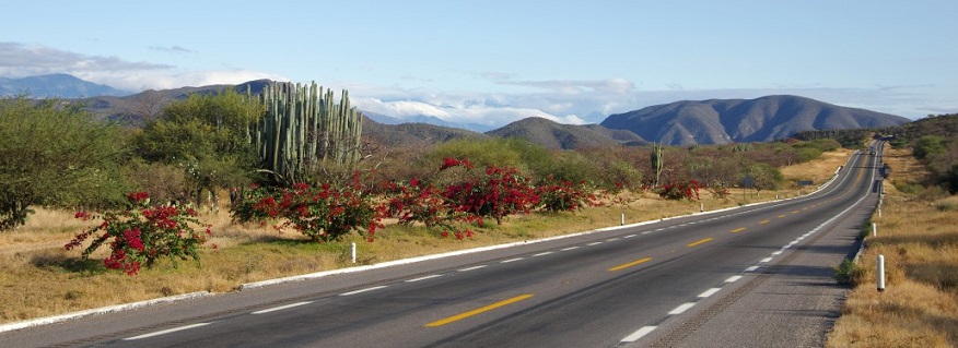 Ship Your Car to Mexico City with a Reliable Transport Company