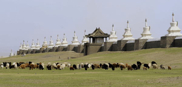 How Easy Is It to Find Shipping Services to Deliver a Car to Mongolia?