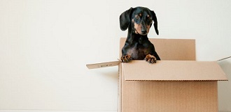 Same Day Movers In Fontana, California