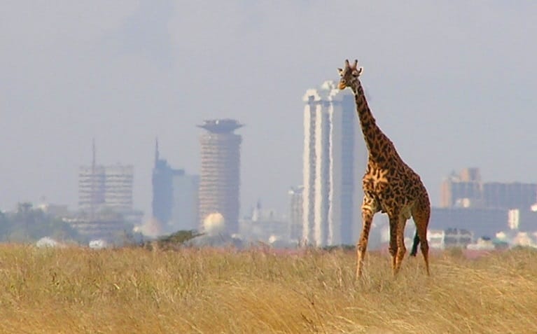 Ship Car To Nairobi