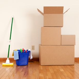 Should You Undertake The Cleanup Yourself Or Hire Someone To Do It For You?