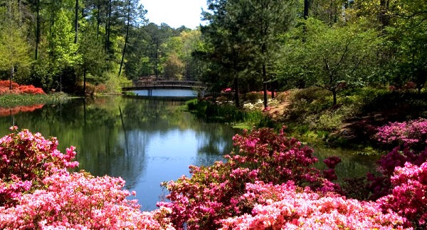 Peachtree City
