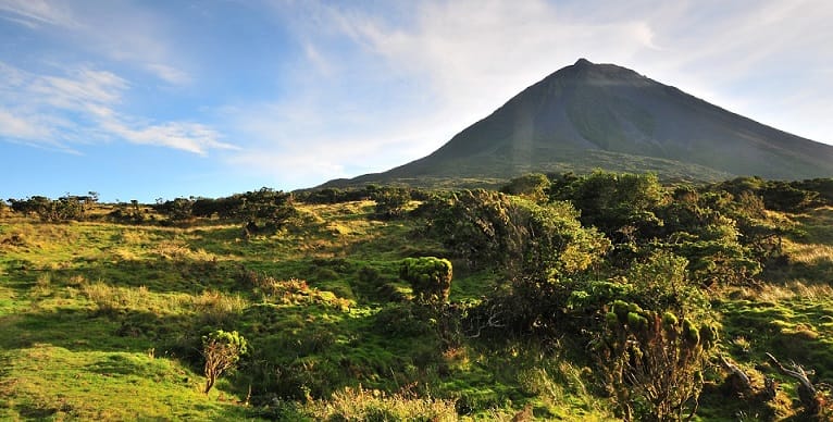 Ship Car To Pico Island