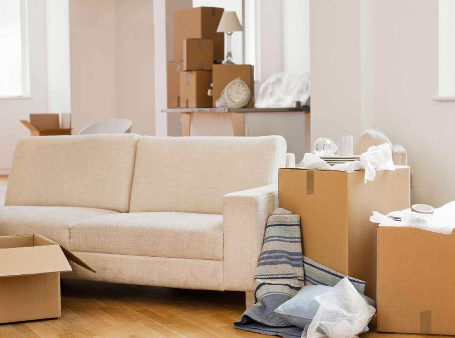 Cleanup Waste Removal Options: DIY Removal, Hiring A Bin, Hiring A Removalist?