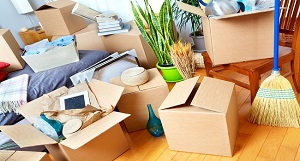Cheap Movers In Calhoun