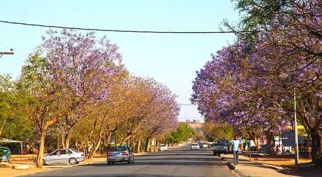 Ship Car To Serowe