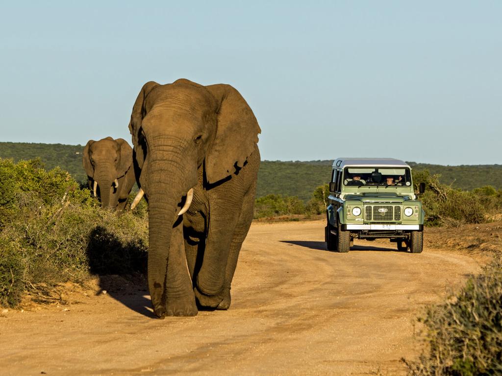 Ship Car To South Africa