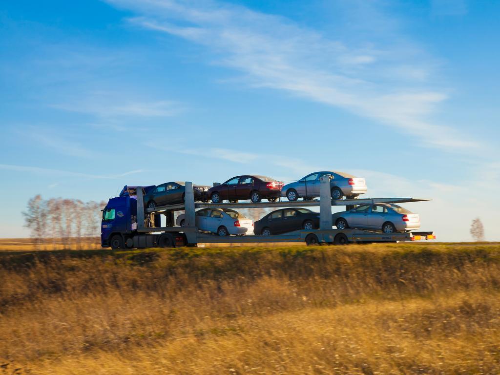 International Vehicle Shipping The Processand The Paperwork What You Need To Know