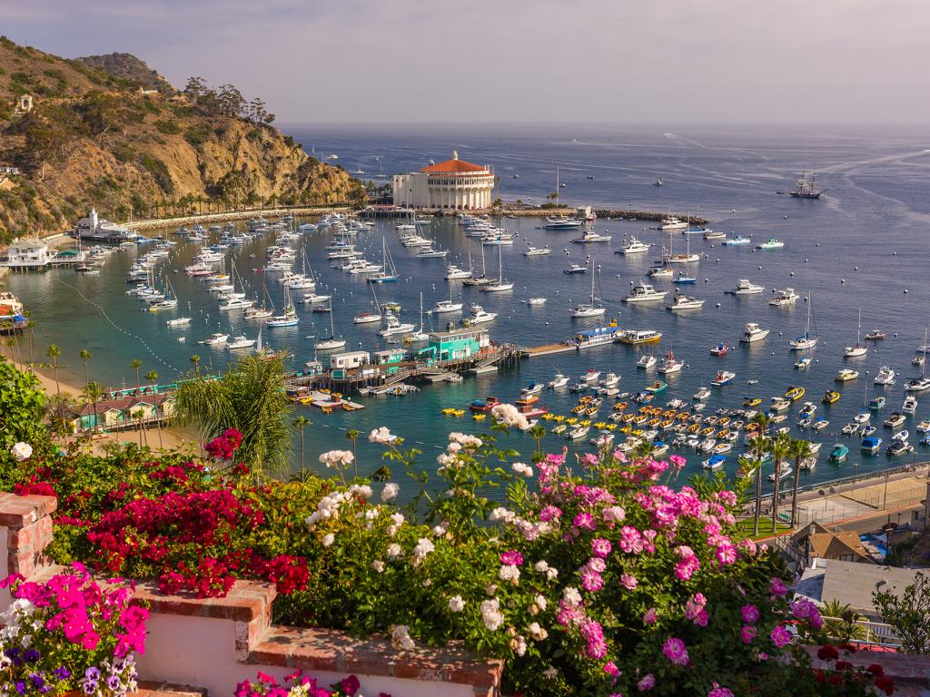 Avalon Ca