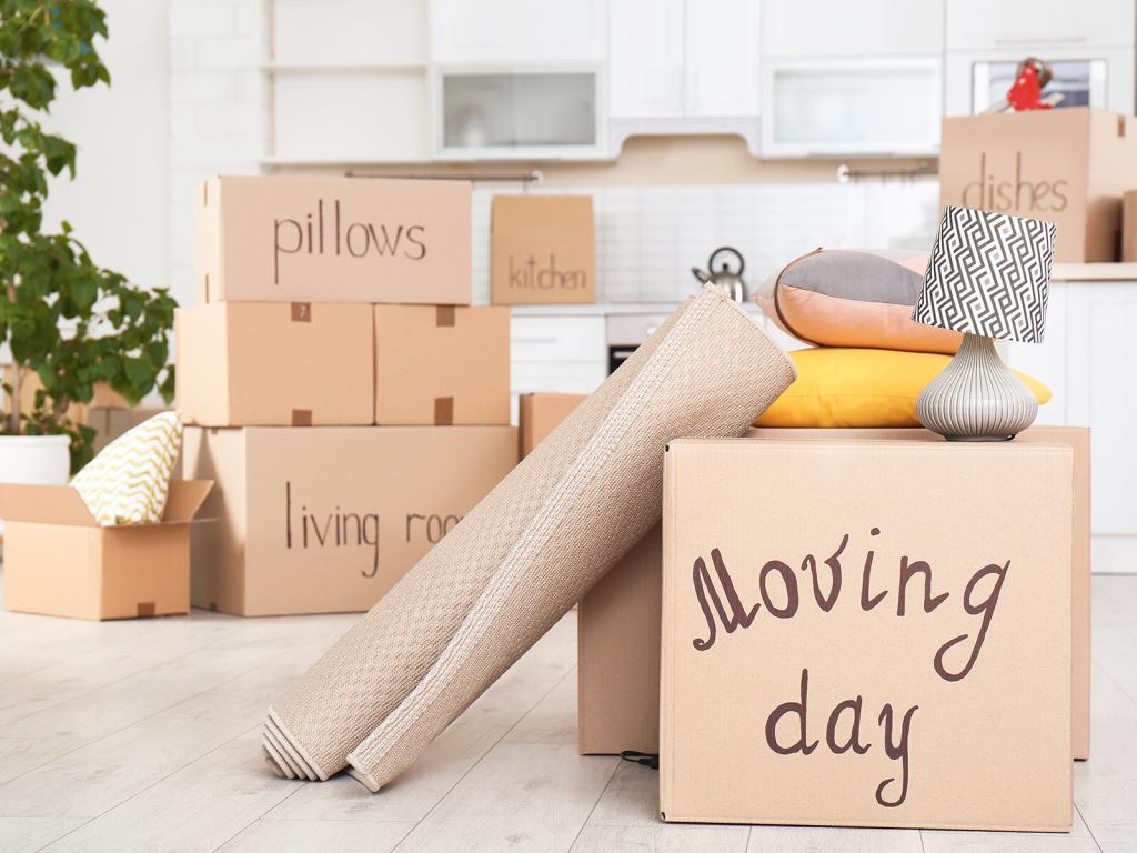 Nevada (NV) State To State Moving Services