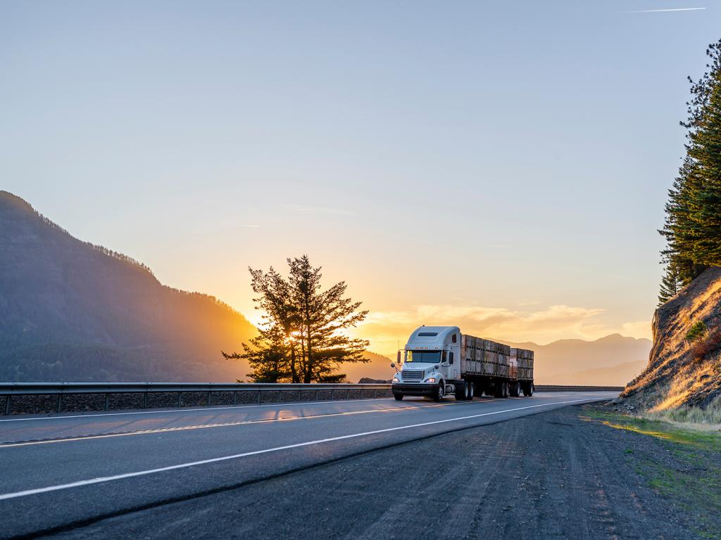Long Distance Transport Near Me