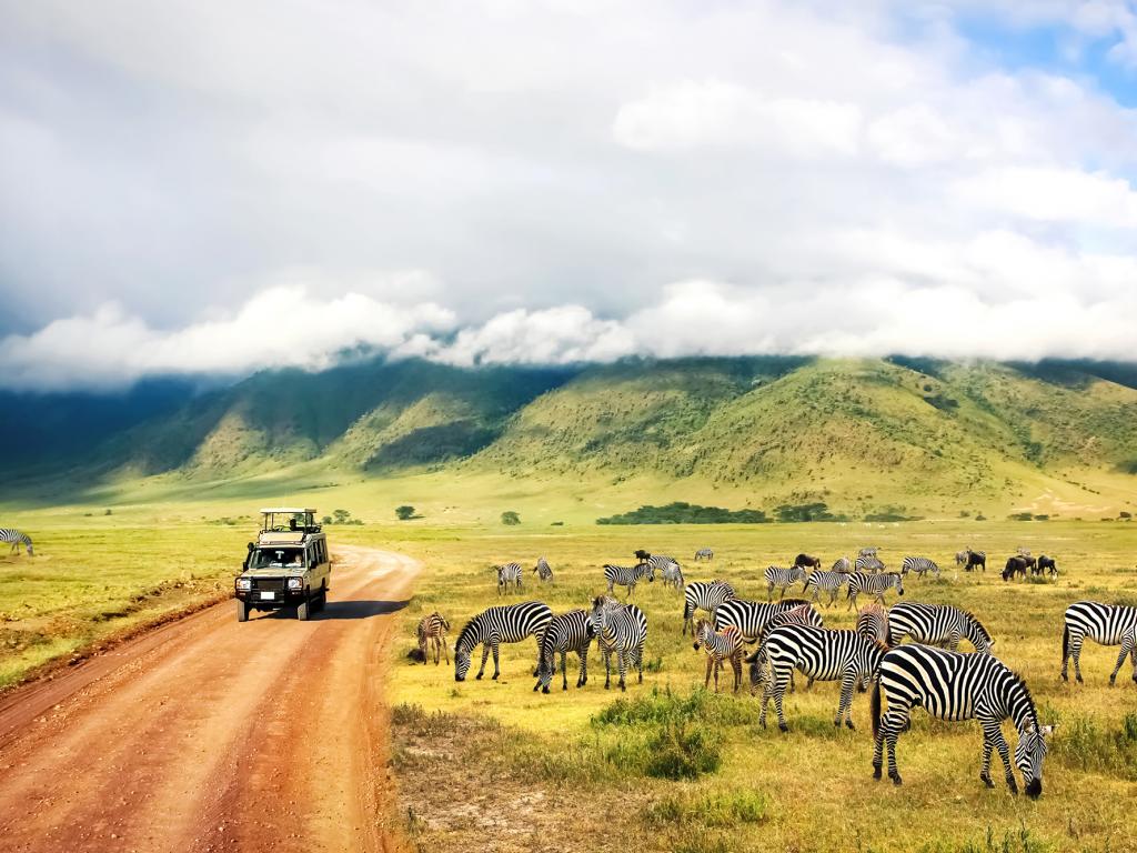 Ship Car To Tanzania
