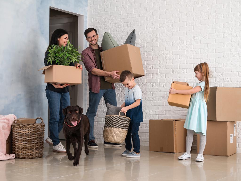 Cincinnati State To State Moving Services