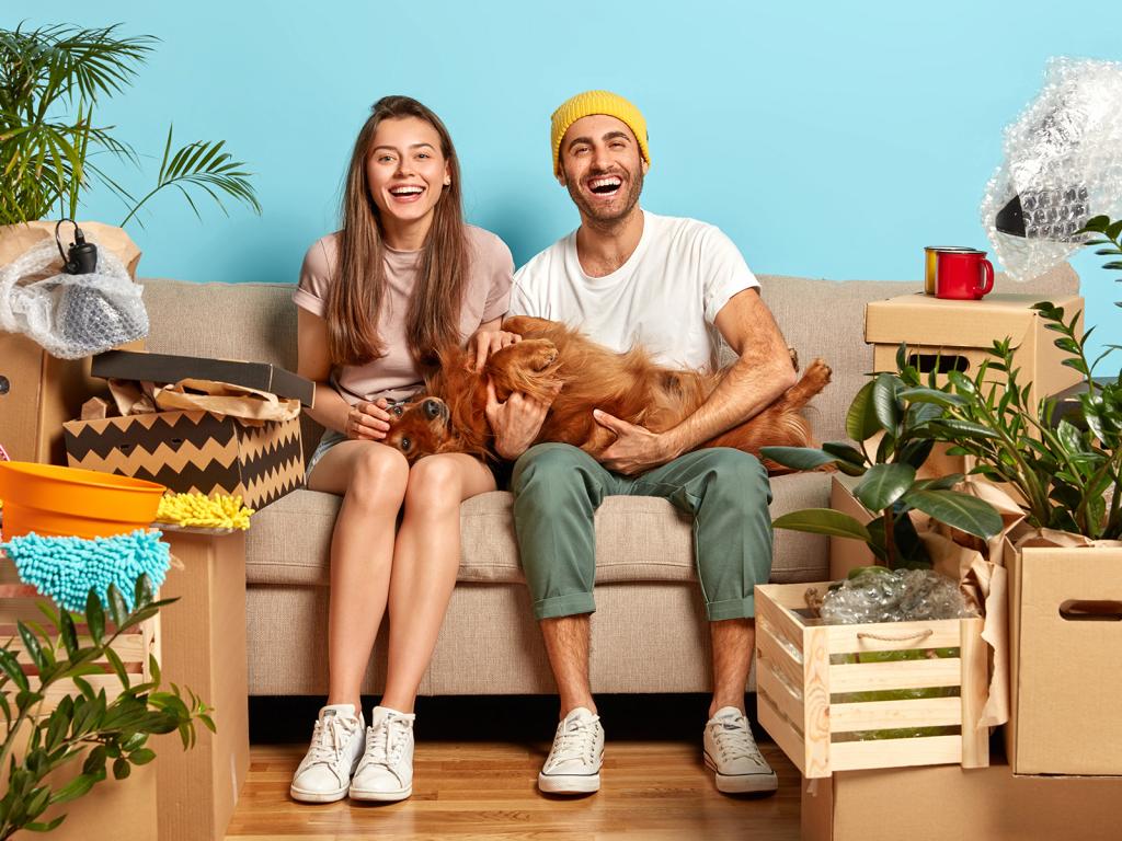 What The Law Says About Moving With Pets