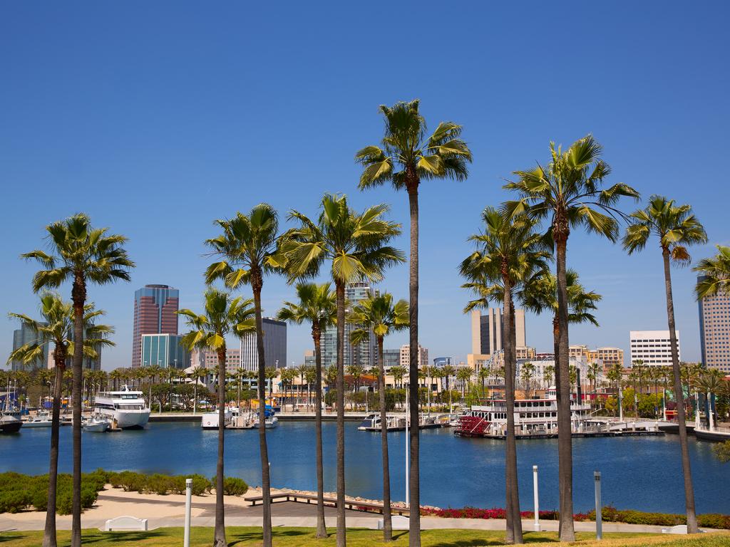 International Car Shipping | Long Beach, California