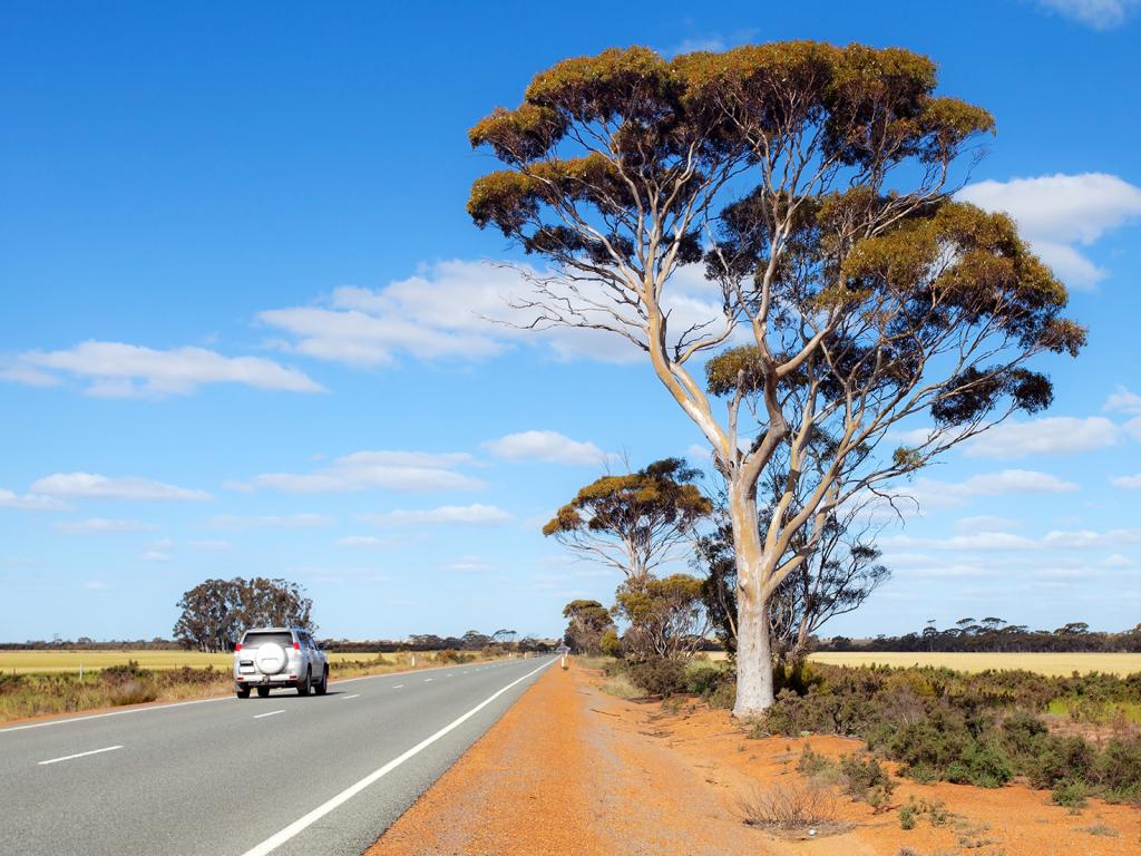 Australia Vehicle Registration Process