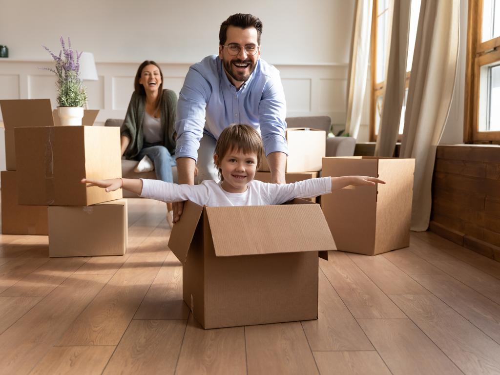 Springfield State To State Moving Services