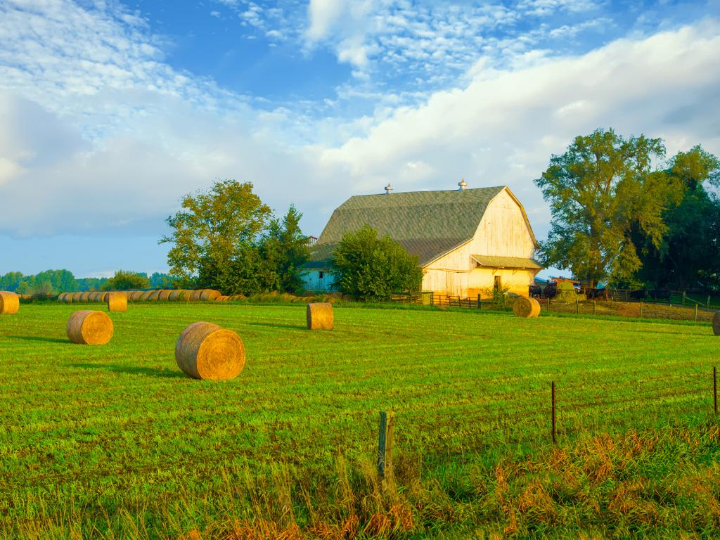 Tipton County