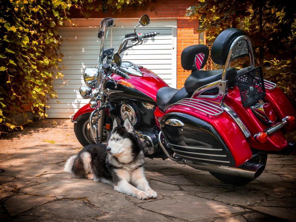 Door To Door Motorcycle Shipping