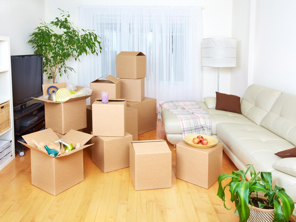 Homewood Al Same Day Movers