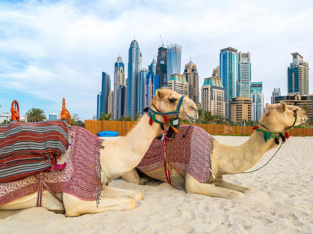 United Arab Emirates (UAE) Vehicle Registration Process
