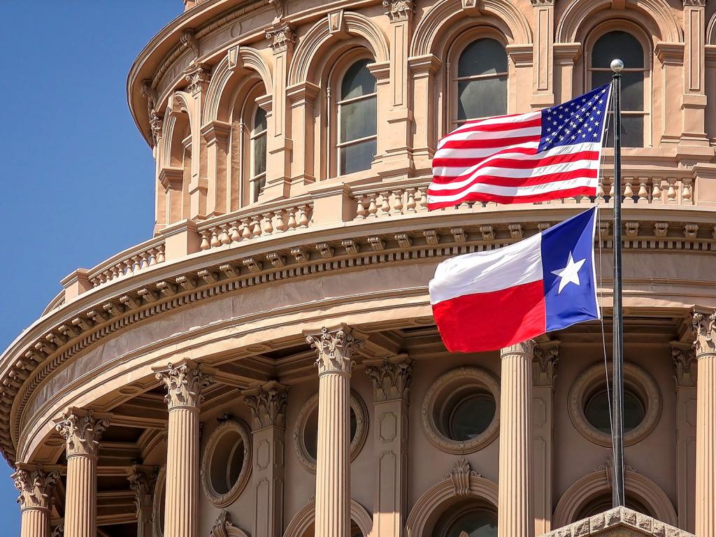 Texas (TX) State To State Moving Services