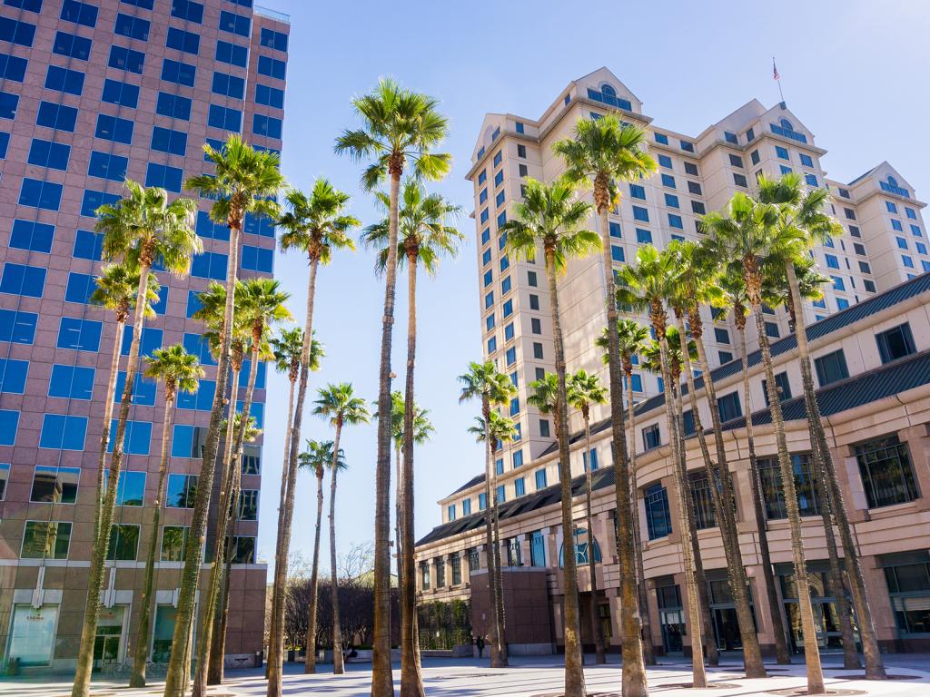 San Jose State To State Moving Services